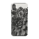 Pyramidal Saxifrage (saxifraga Aizoon) - Karl Blossfeldt Iphone Case Xs Max / Matte Mobile Phone Cases