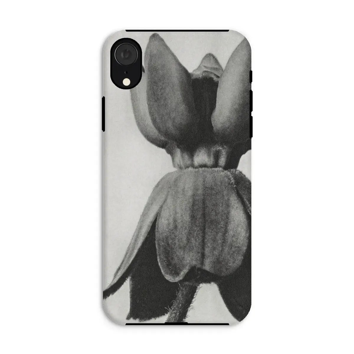 Asclepias Syriaca (common Milkweed) - Karl Blossfeldt Iphone Case Xr / Matte Mobile Phone Cases