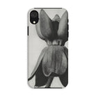 Asclepias Syriaca (common Milkweed) by Karl Blossfeldt Iphone Case Xr / Matte Mobile Phone Cases