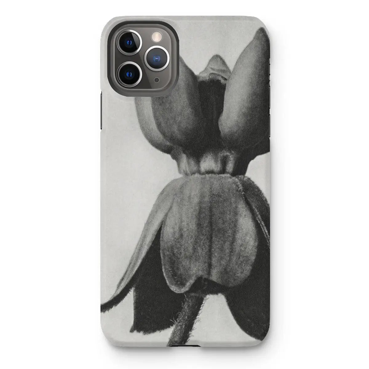 Asclepias Syriaca (common Milkweed) by Karl Blossfeldt Iphone Case 11 Pro Max / Matte Mobile Phone Cases