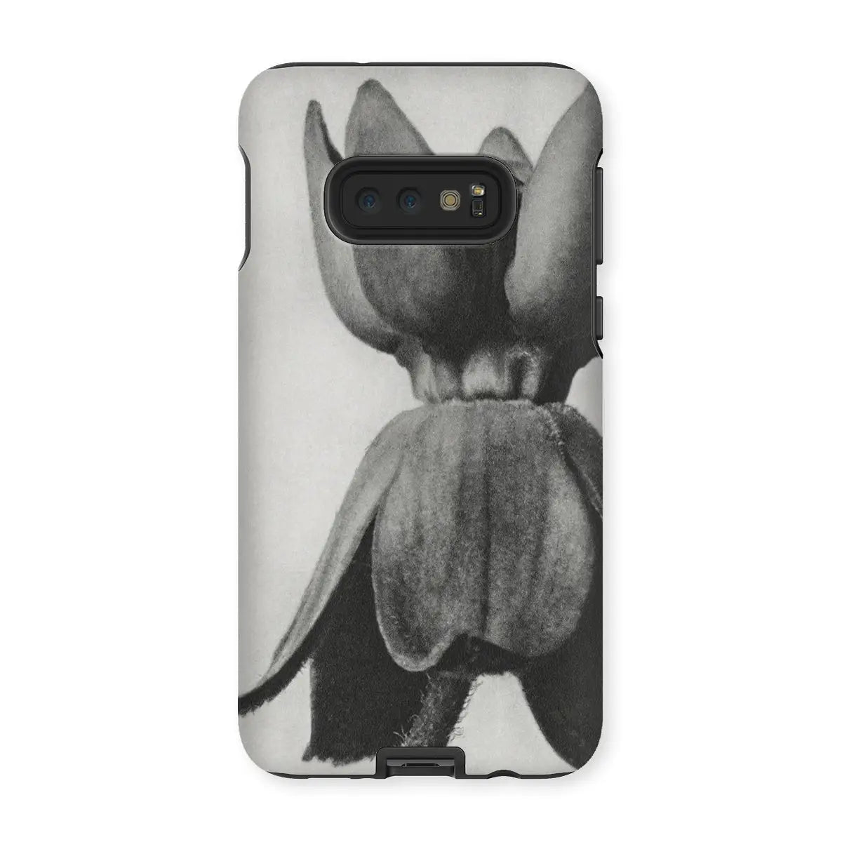 Asclepias Syriaca (common Milkweed) - Karl Blossfeldt Iphone Case Mobile Phone Cases