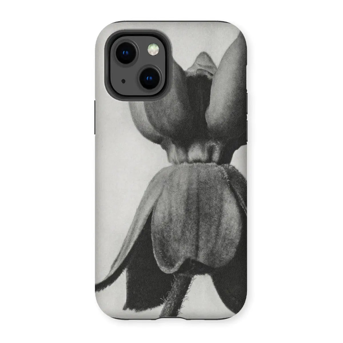 Asclepias Syriaca (common Milkweed) - Karl Blossfeldt Iphone Case 13 / Matte Mobile Phone Cases