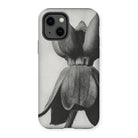 Asclepias Syriaca (common Milkweed) by Karl Blossfeldt Iphone Case 13 / Matte Mobile Phone Cases