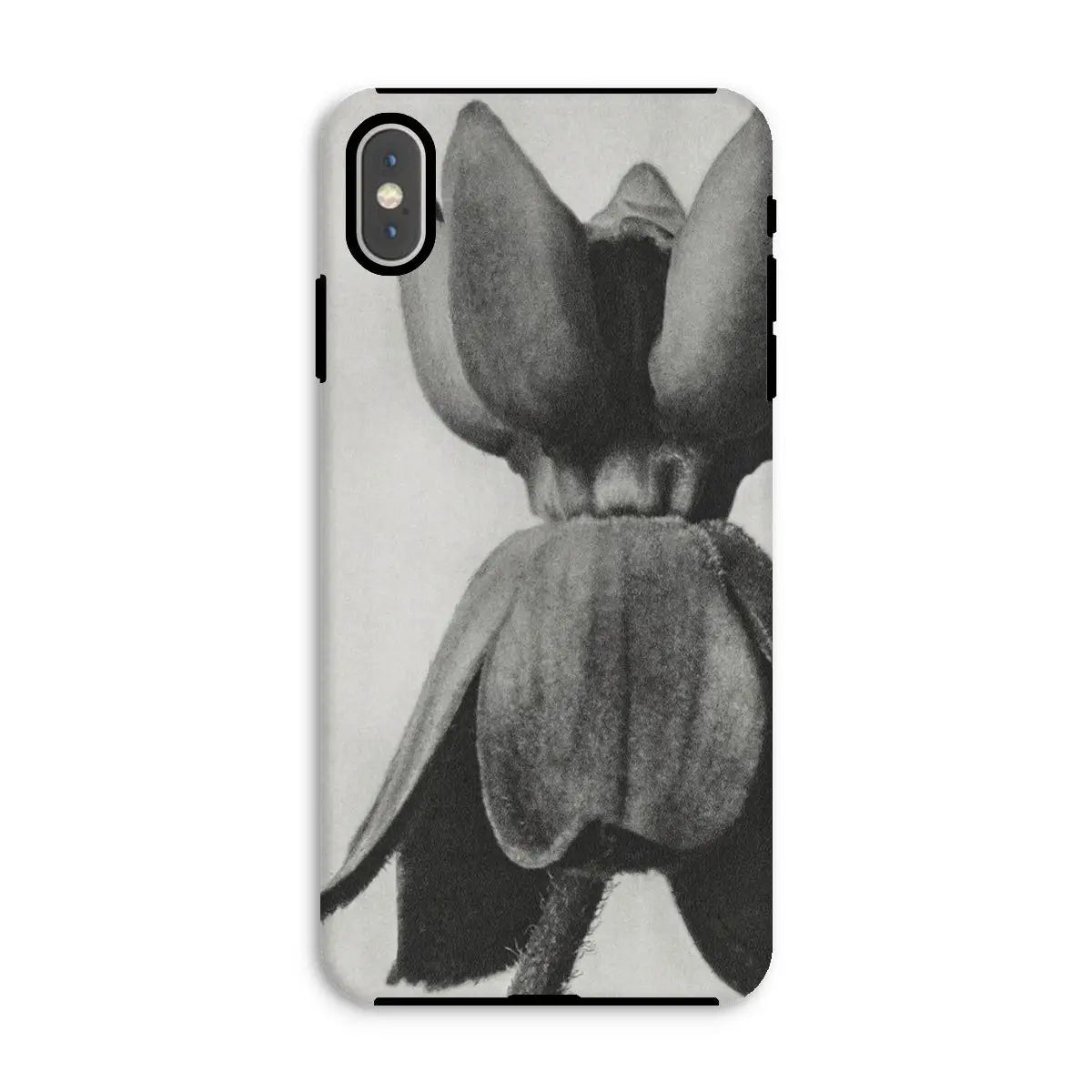 Asclepias Syriaca (common Milkweed) by Karl Blossfeldt Iphone Case Xs Max / Matte Mobile Phone Cases