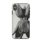 Asclepias Syriaca (common Milkweed) by Karl Blossfeldt Iphone Case Xs Max / Matte Mobile Phone Cases