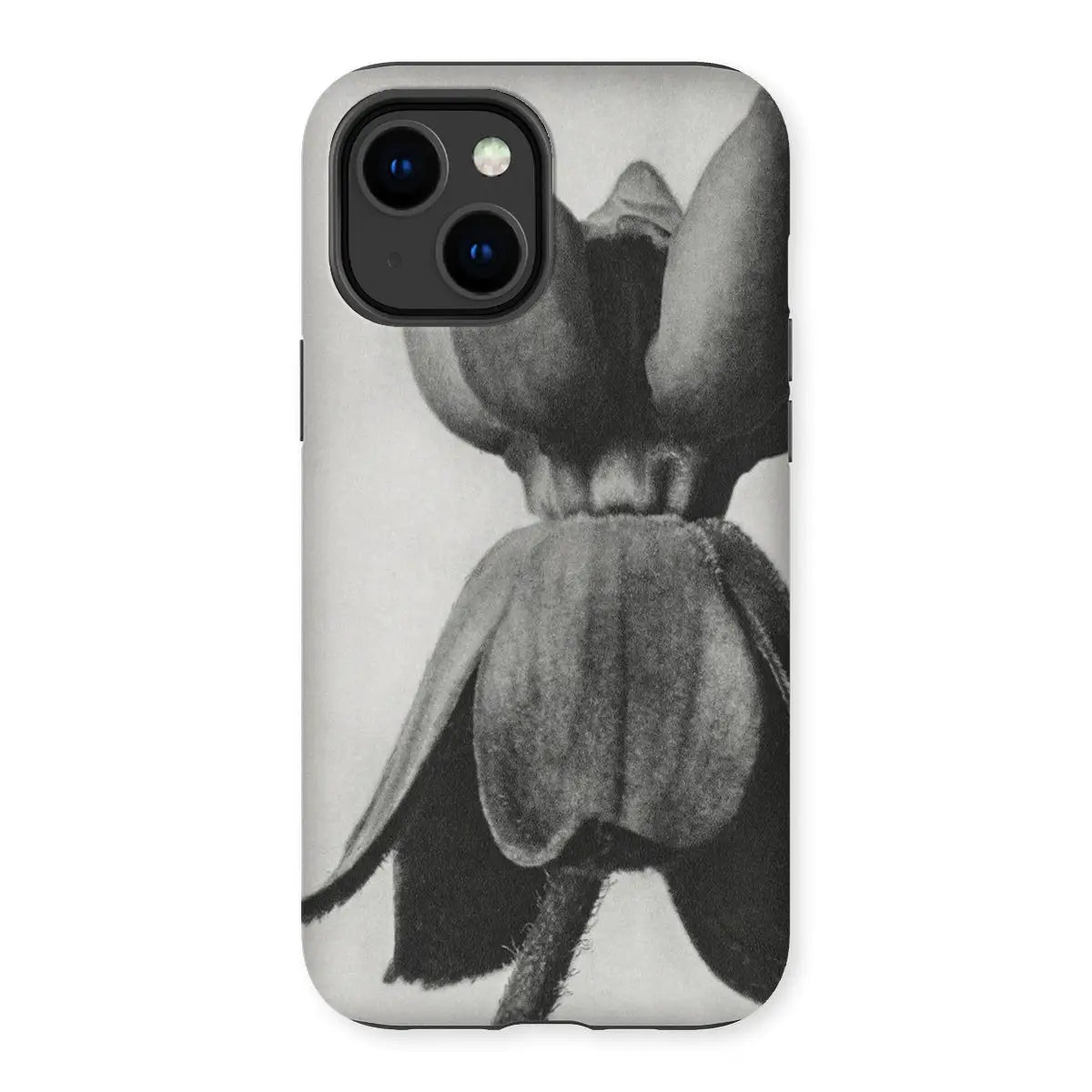 Asclepias Syriaca (common Milkweed) - Karl Blossfeldt Iphone Case 14 Plus / Matte Mobile Phone Cases