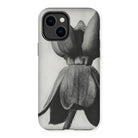 Asclepias Syriaca (common Milkweed) by Karl Blossfeldt Iphone Case 14 Plus / Matte Mobile Phone Cases