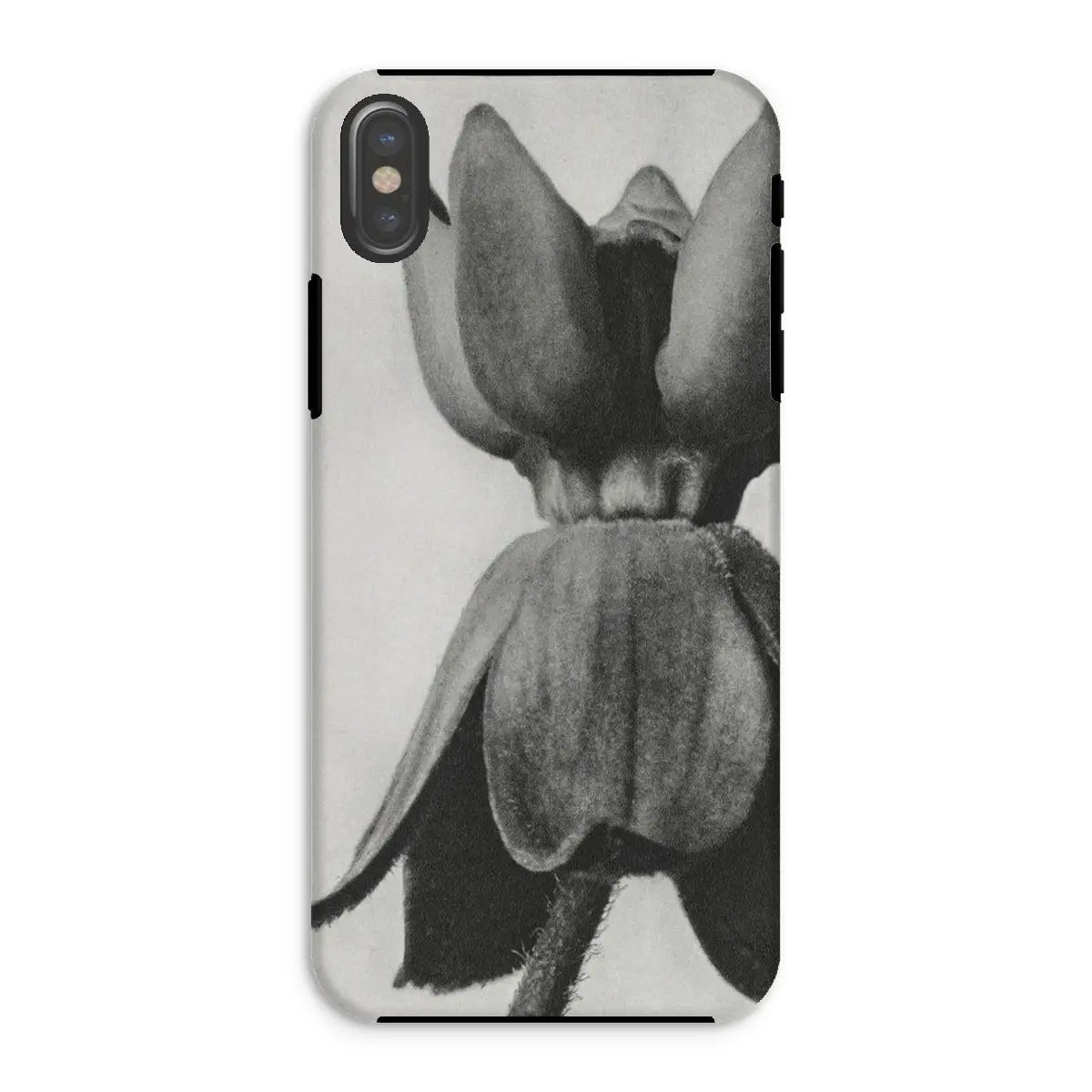 Asclepias Syriaca (common Milkweed) by Karl Blossfeldt Iphone Case Xs / Matte Mobile Phone Cases