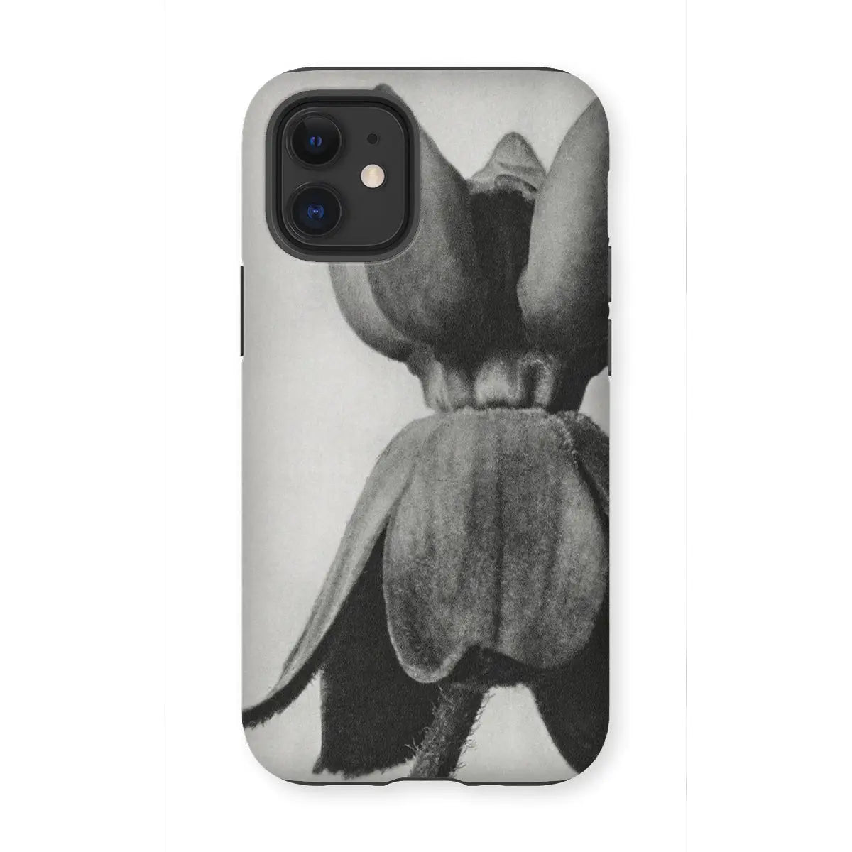 Asclepias Syriaca (common Milkweed) - Karl Blossfeldt Iphone Case 12 Mini / Matte Mobile Phone Cases