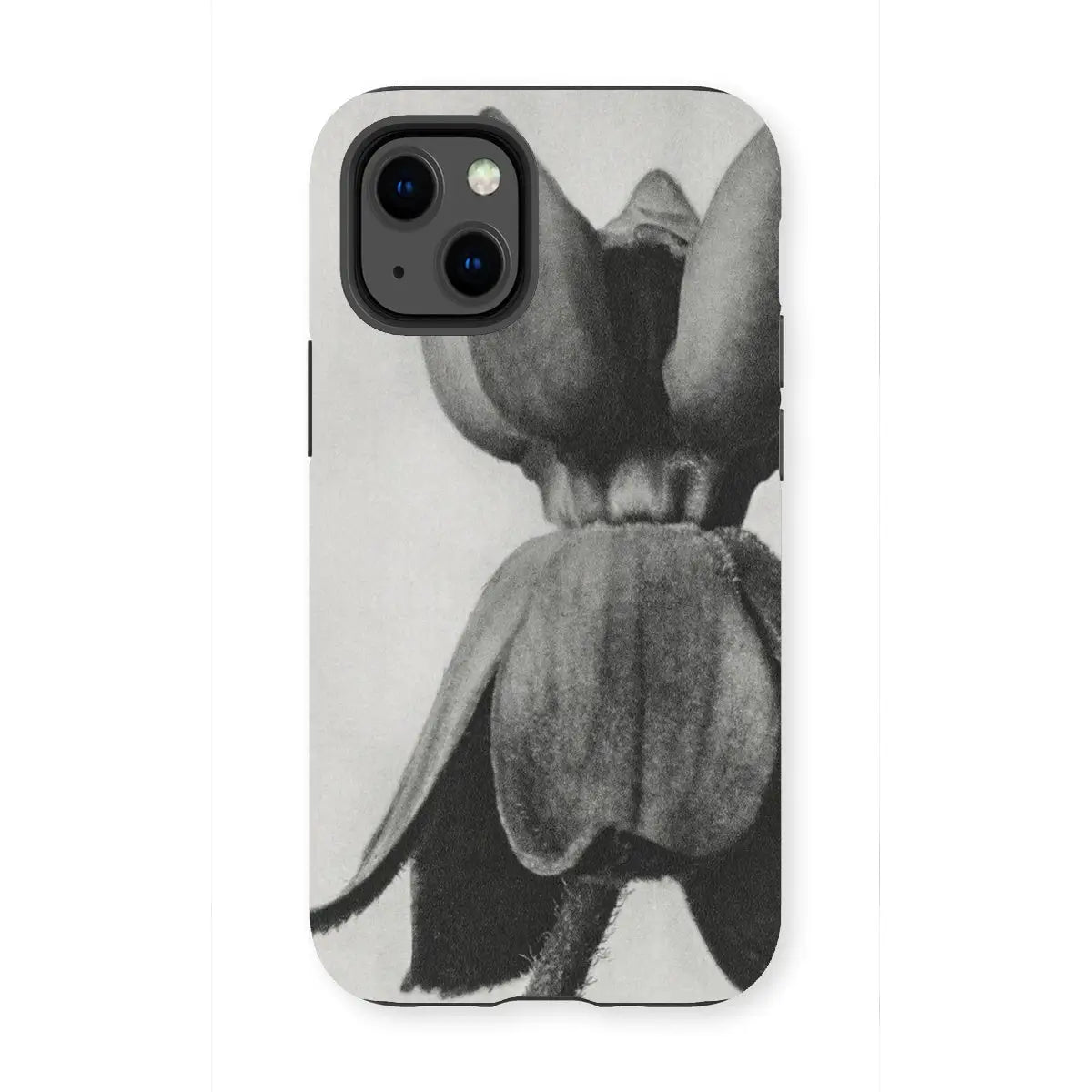 Asclepias Syriaca (common Milkweed) - Karl Blossfeldt Iphone Case 13 Mini / Matte Mobile Phone Cases