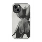 Asclepias Syriaca (common Milkweed) by Karl Blossfeldt Iphone Case 13 Mini / Matte Mobile Phone Cases