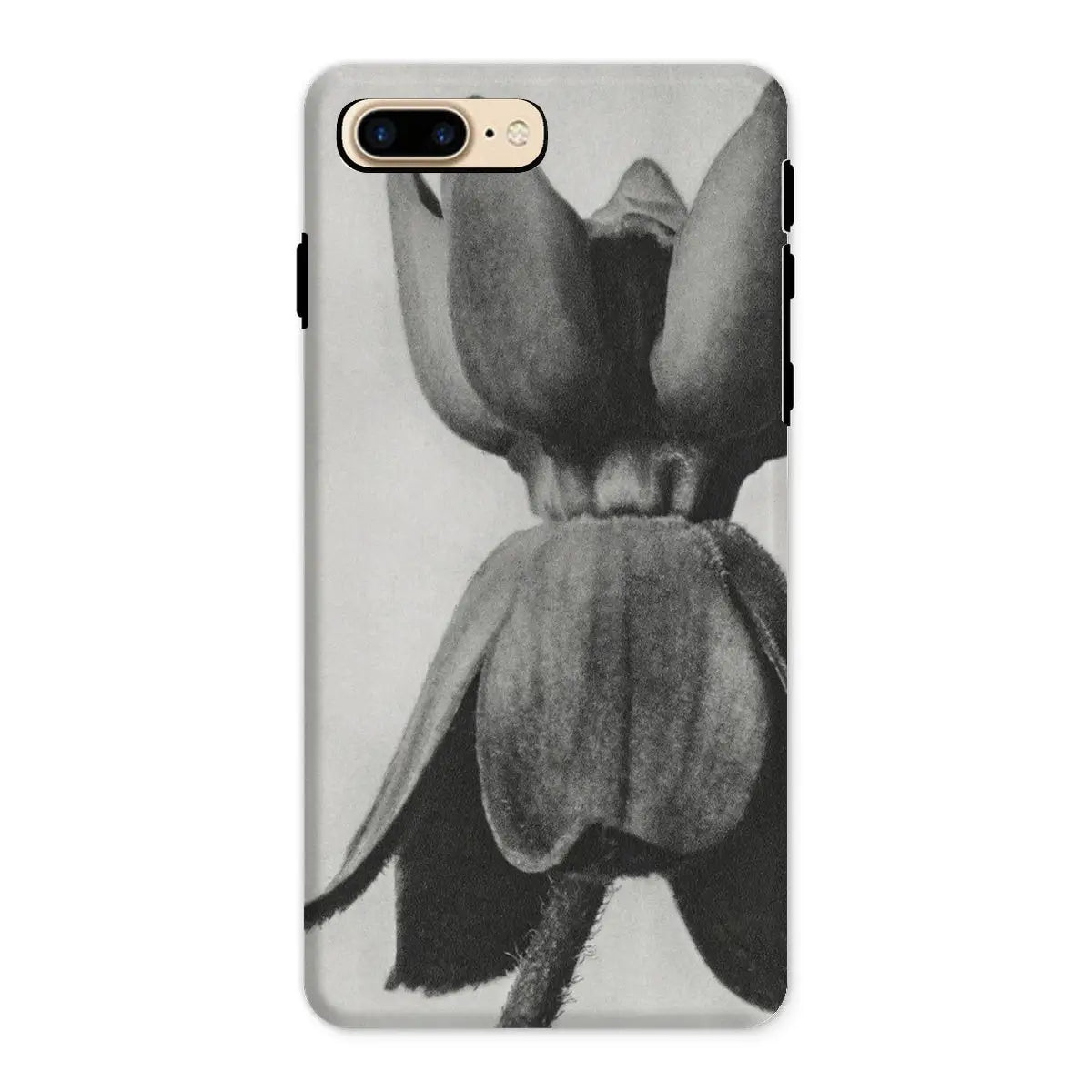 Asclepias Syriaca (common Milkweed) - Karl Blossfeldt Iphone Case 8 Plus / Matte Mobile Phone Cases