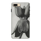 Asclepias Syriaca (common Milkweed) by Karl Blossfeldt Iphone Case 8 Plus / Matte Mobile Phone Cases