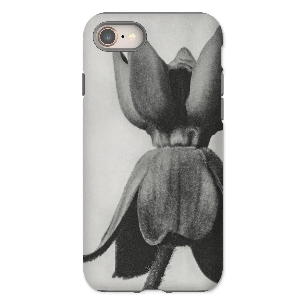 Asclepias Syriaca (common Milkweed) by Karl Blossfeldt Iphone Case 8 / Matte Mobile Phone Cases