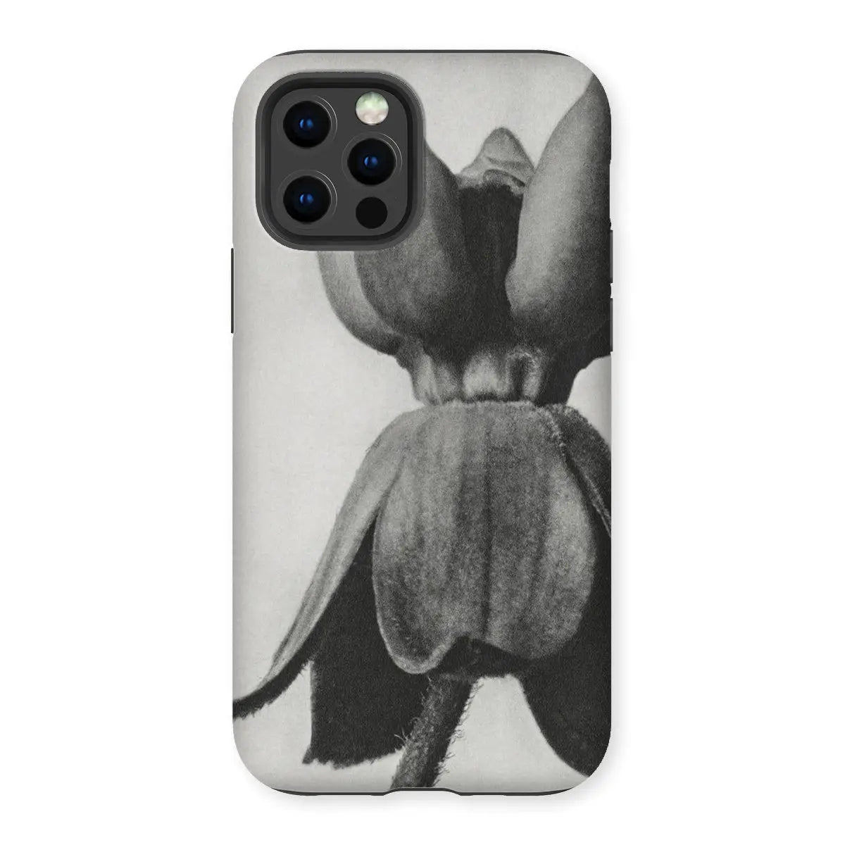 Asclepias Syriaca (common Milkweed) by Karl Blossfeldt Iphone Case 12 Pro / Matte Mobile Phone Cases