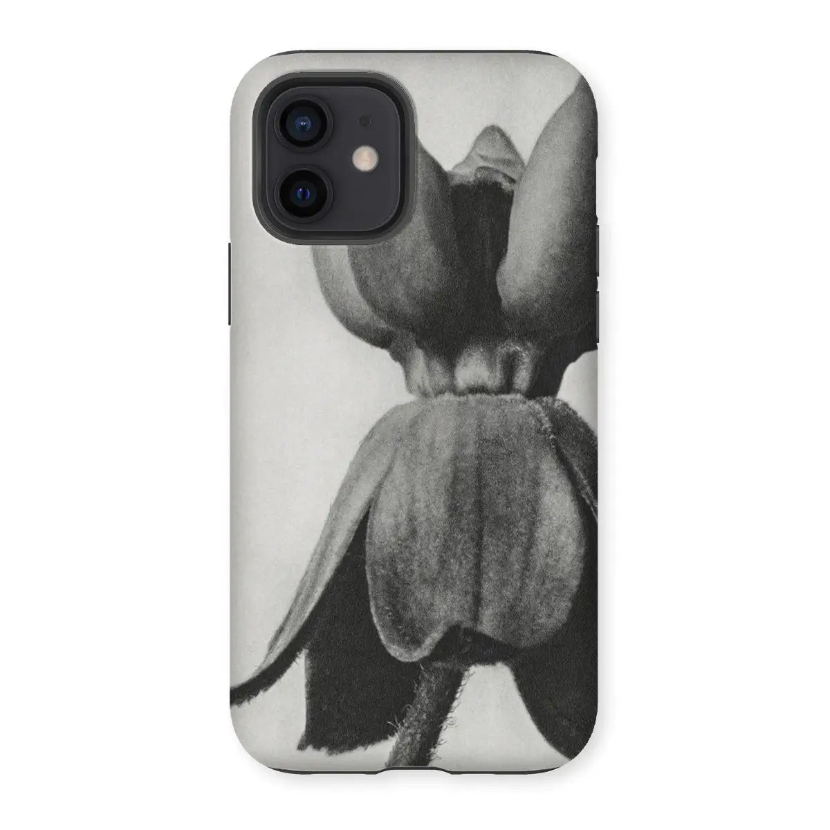 Asclepias Syriaca (common Milkweed) by Karl Blossfeldt Iphone Case 12 / Matte Mobile Phone Cases