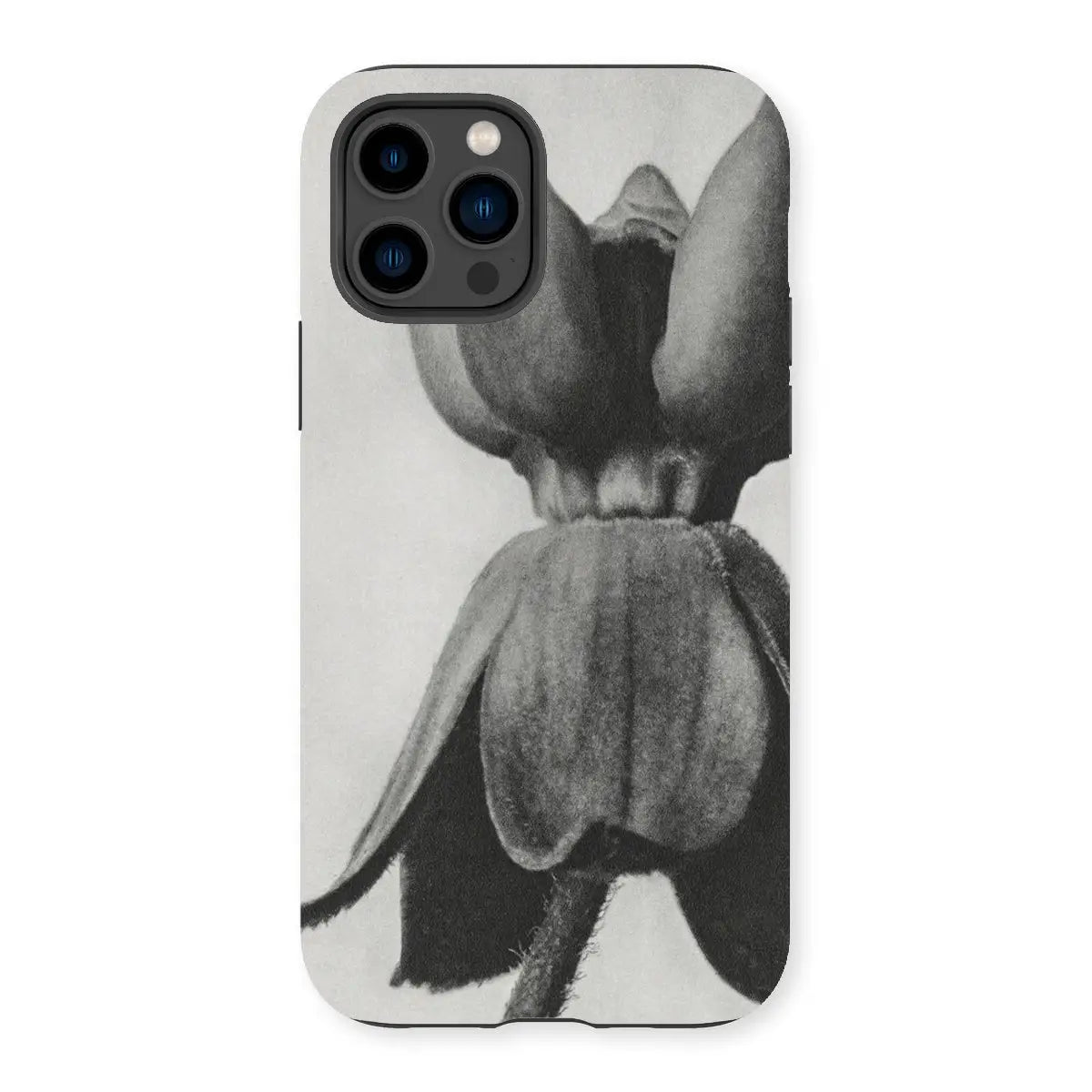 Asclepias Syriaca (common Milkweed) - Karl Blossfeldt Iphone Case 14 Pro / Matte Mobile Phone Cases