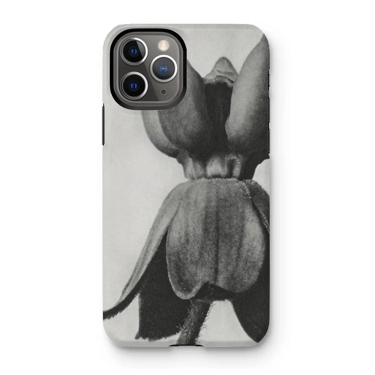 Asclepias Syriaca (common Milkweed) by Karl Blossfeldt Iphone Case 11 Pro / Matte Mobile Phone Cases