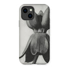 Asclepias Syriaca (common Milkweed) by Karl Blossfeldt Iphone Case 14 / Matte Mobile Phone Cases