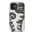 Aspidium Filix Mas (shield Fern Fronds) - Karl Blossfeldt Iphone Case 12 / Matte Mobile Phone Cases