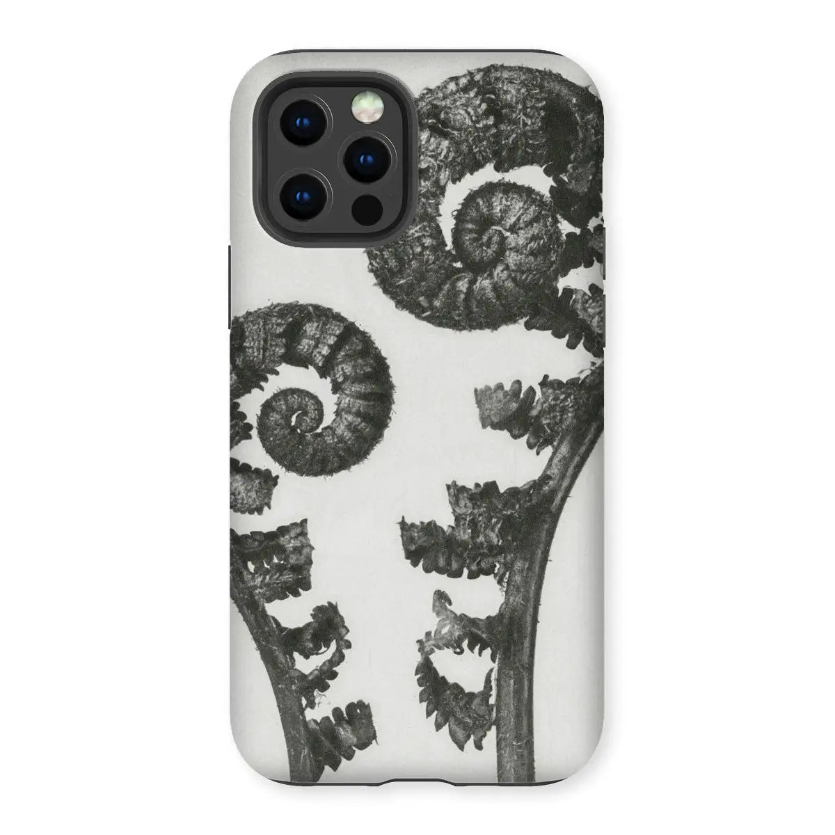 Aspidium Filix Mas (shield Fern Fronds) - Karl Blossfeldt Iphone Case 12 Pro / Matte Mobile Phone Cases