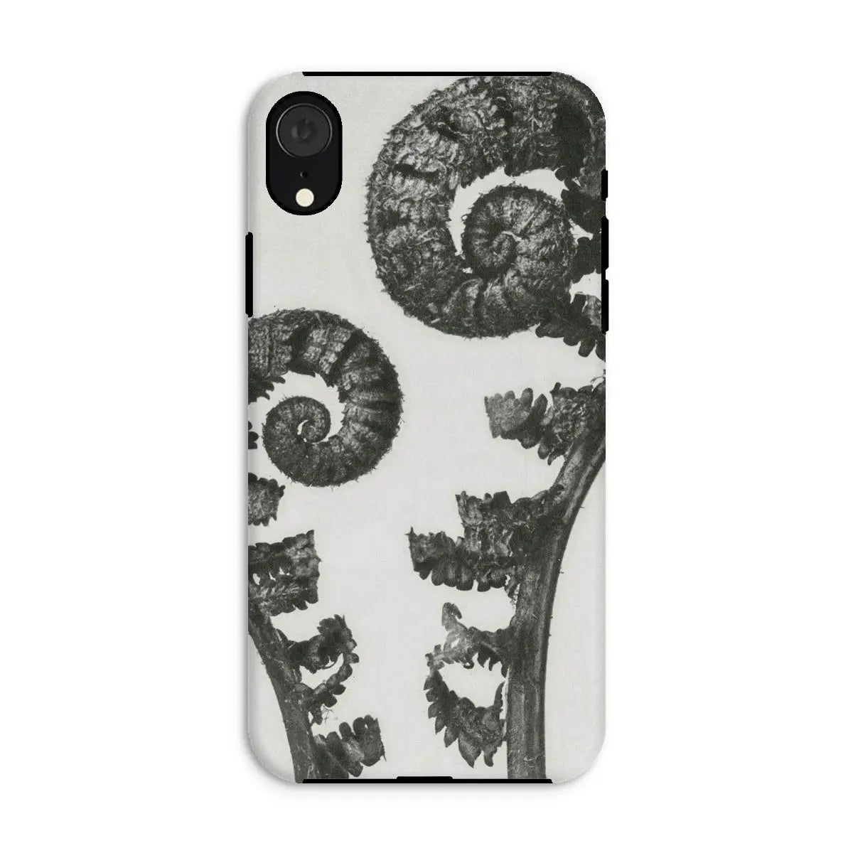 Aspidium Filix Mas (shield Fern Fronds) - Karl Blossfeldt Iphone Case Xr / Matte Mobile Phone Cases