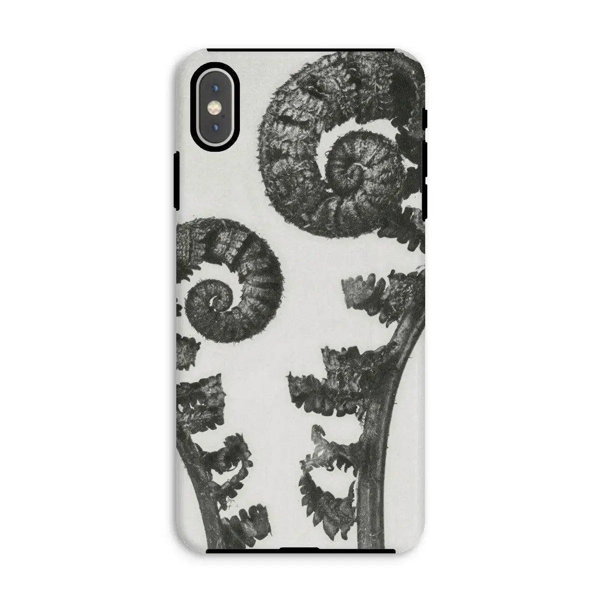 Aspidium Filix Mas (shield Fern Fronds) - Karl Blossfeldt Iphone Case Xs Max / Matte Mobile Phone Cases