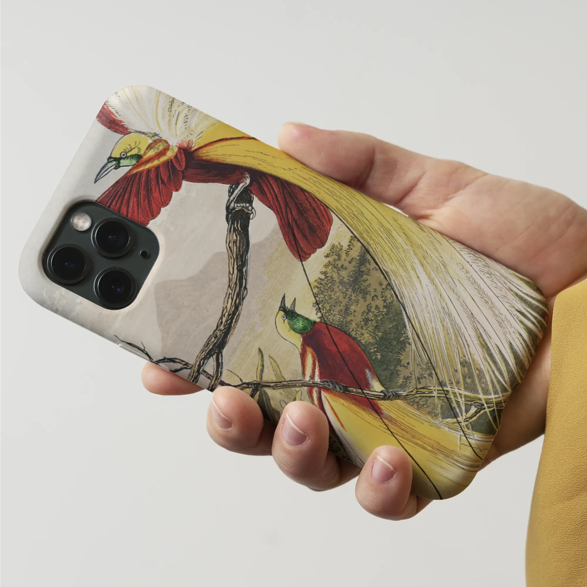 Bird of Paradise - Benjamin Fawcett Iphone Case Mobile Phone Cases