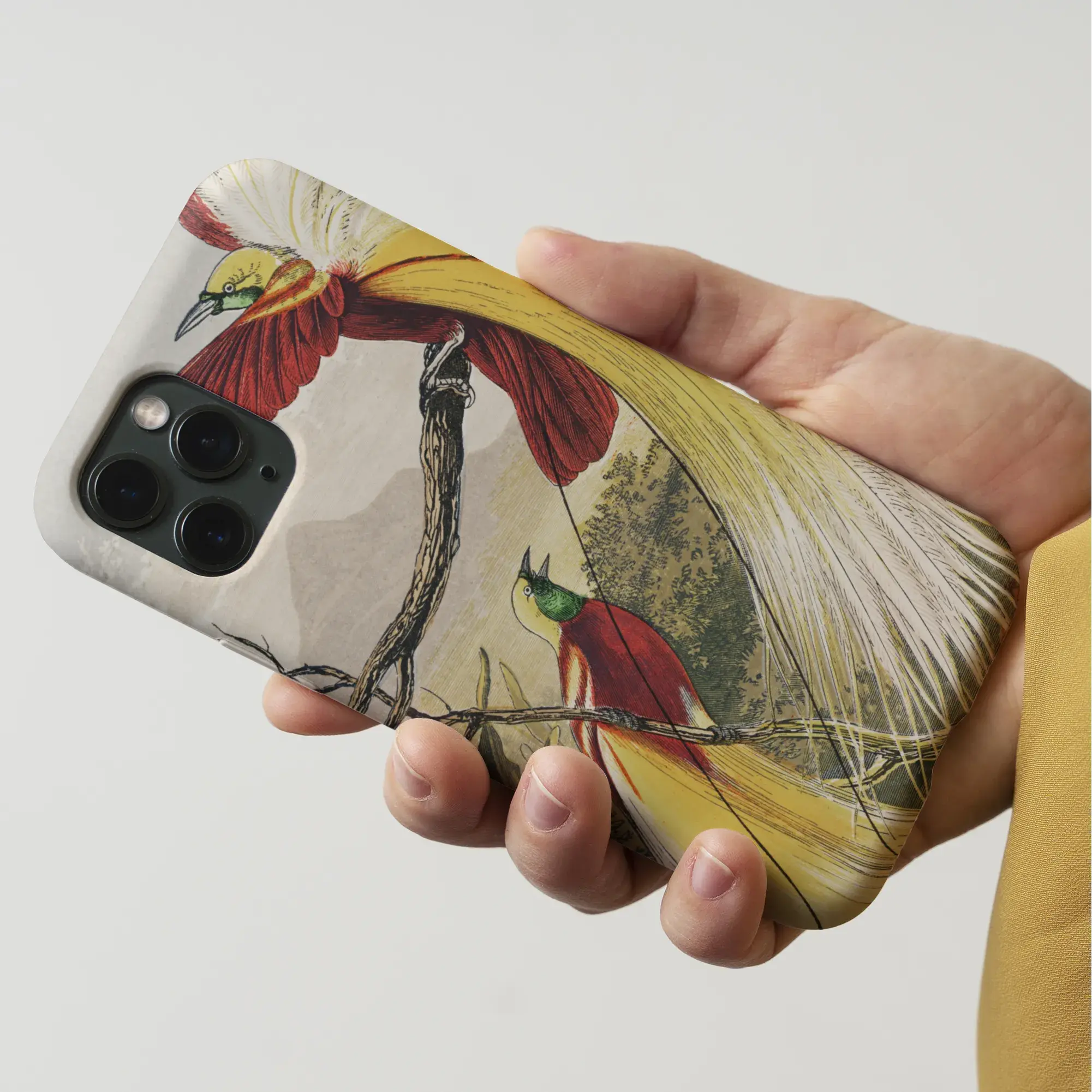 Bird of Paradise - Benjamin Fawcett Iphone Case Mobile Phone Cases