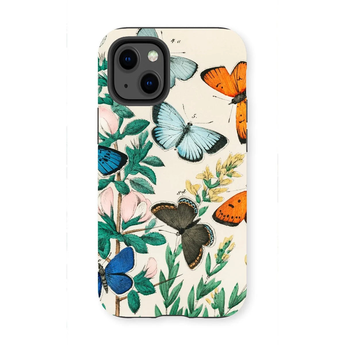 European Butterflies & Moths - William Forsell Kirby Iphone Case 13 Mini / Matte Mobile Phone Cases