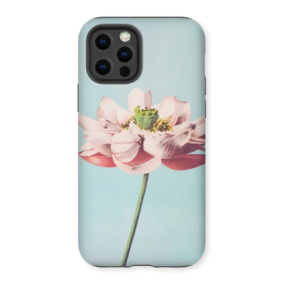 Pink Water Lily - Kazumasa Ogawa Floral Art Iphone Case 12 Pro / Matte Mobile Phone Cases