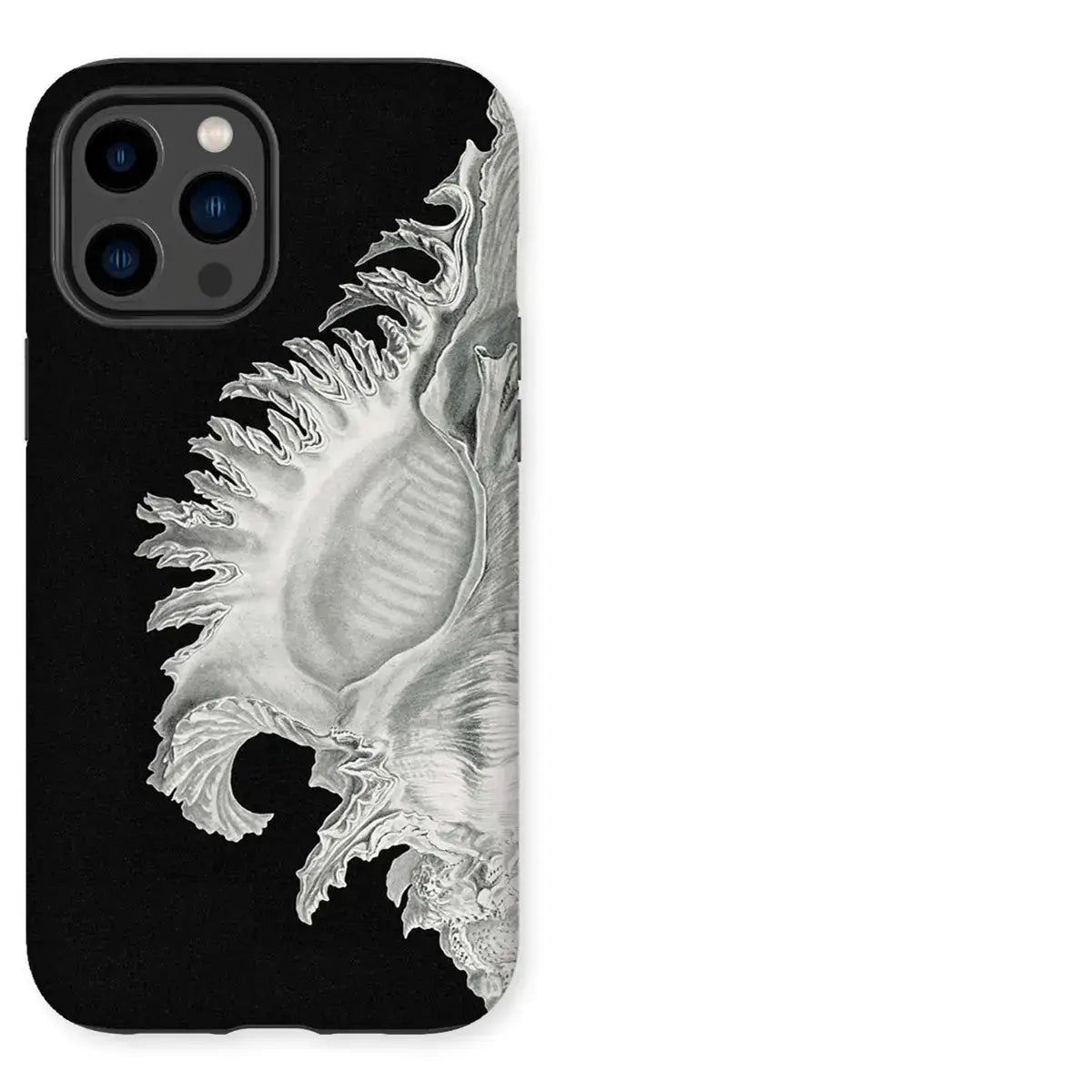 Seashell design phone case for iPhone, stylish black and white iPhone cases for art fans