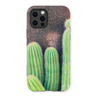 Family Affair - Modern Cactus Iphone Case 13 Pro / Matte Mobile Phone Cases