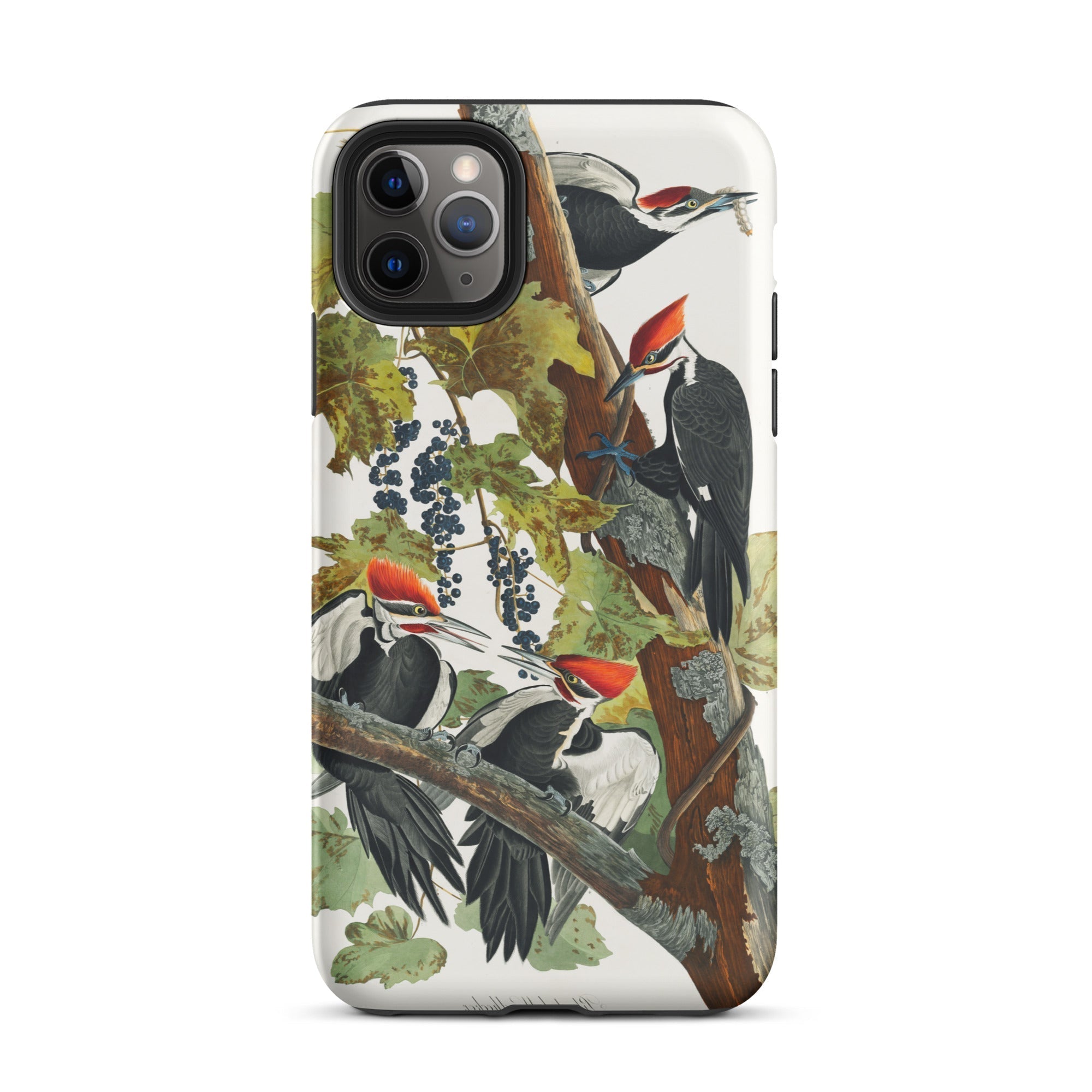 Pileated Woodpecker John James Audubon Iphone Case, 11 Pro Max / Matte, Woodpecker Themed Phone Case