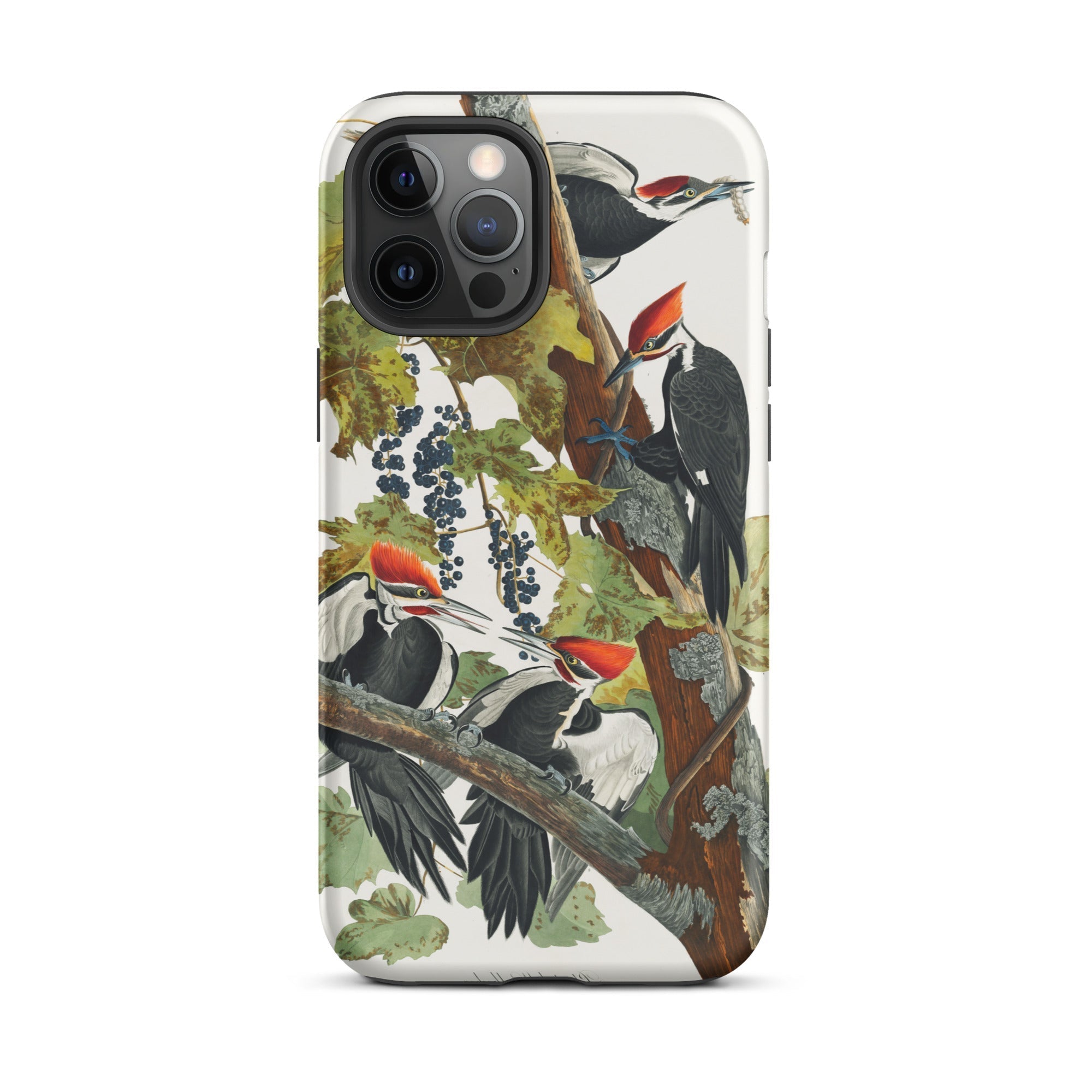 Pileated Woodpecker John James Audubon Iphone Case, 12 Pro Max / Matte, Iphone Case Woodpecker Illustration