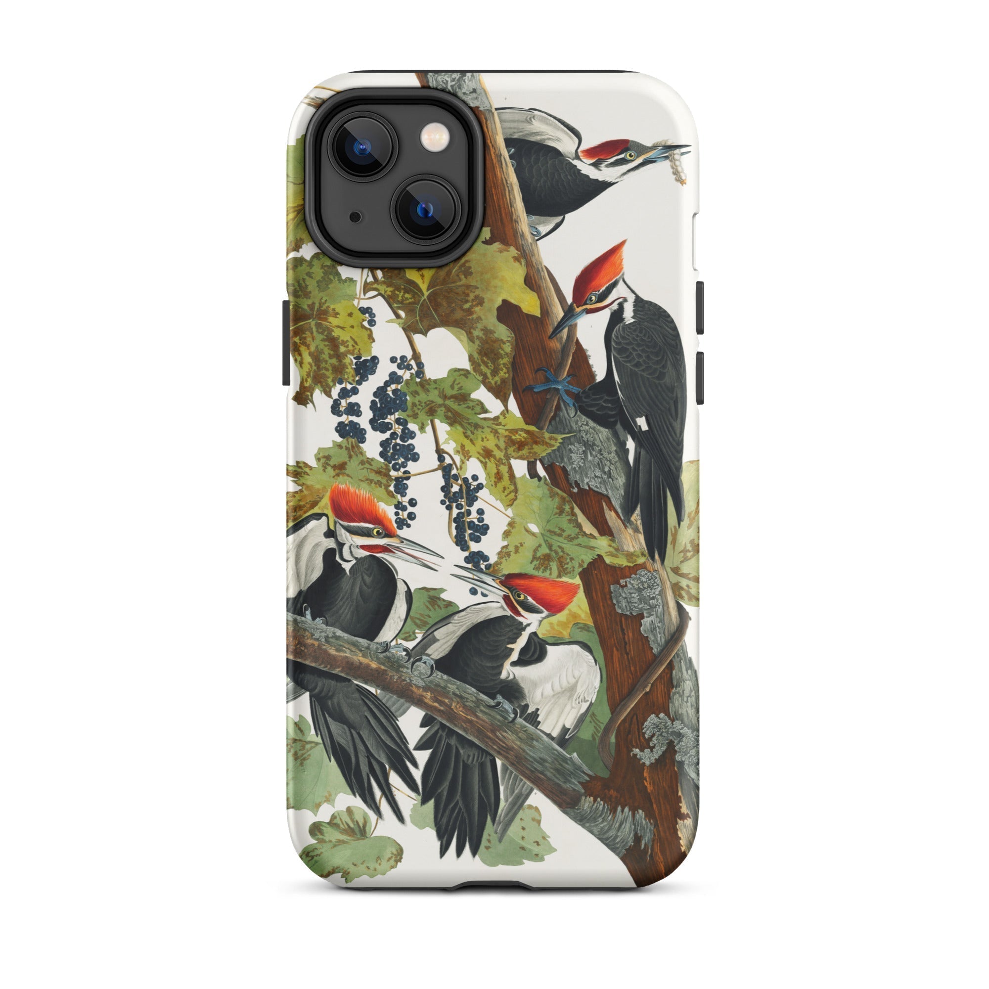 Pileated Woodpecker John James Audubon Iphone Case, 14 Plus / Matte, Woodpecker Themed Phone Case