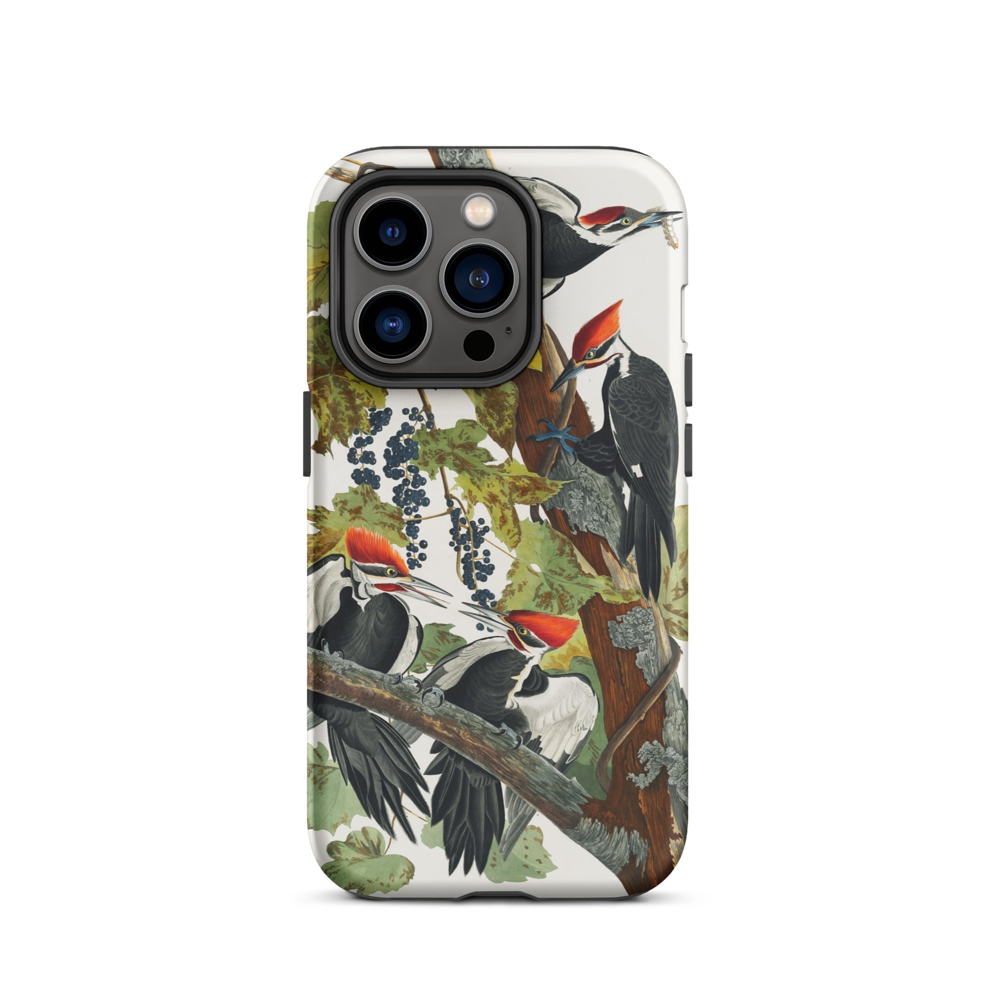 Pileated Woodpecker John James Audubon Iphone Case, 14 Pro / Matte, Iphone Case Woodpecker Illustration