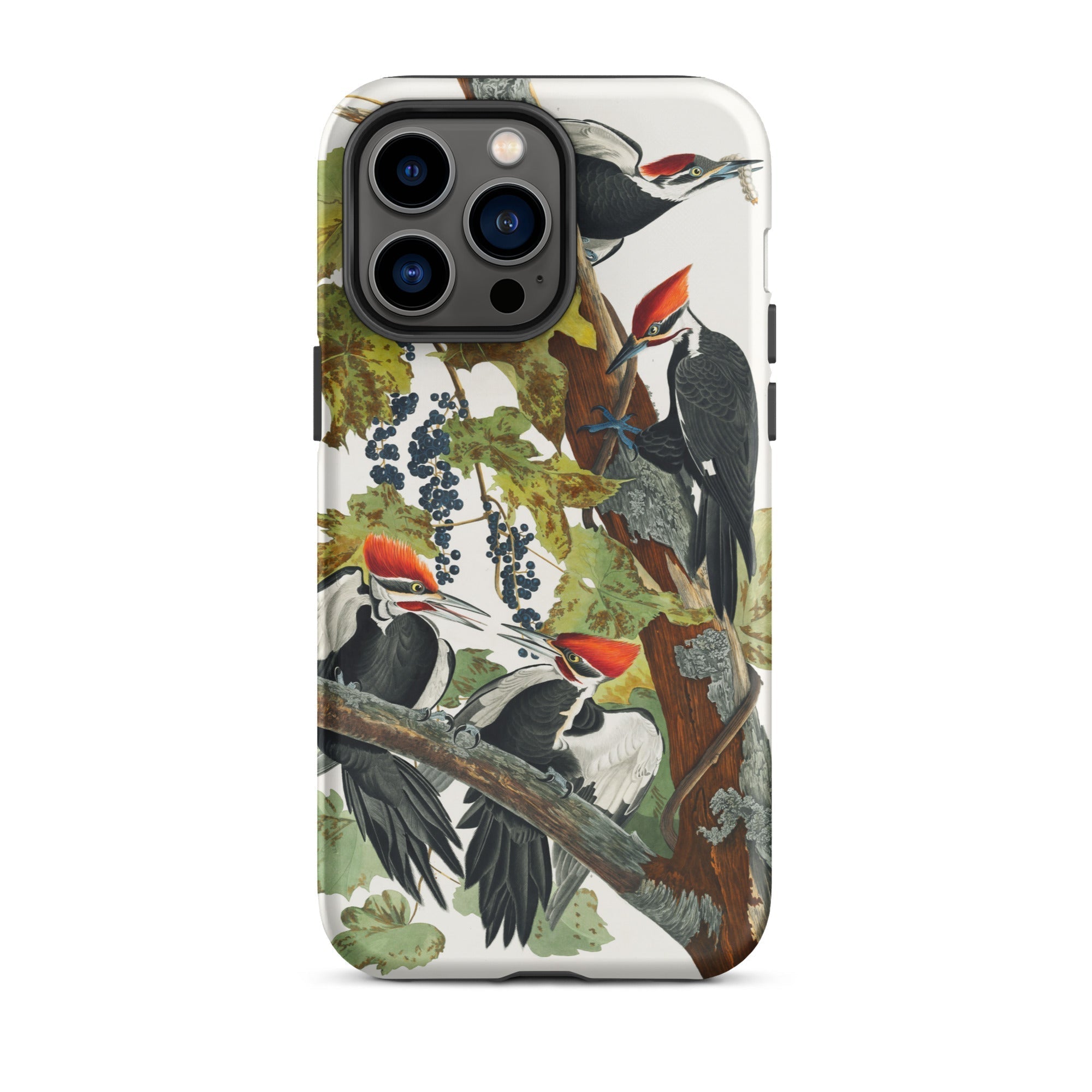 Pileated Woodpecker John James Audubon Iphone Case, 14 Pro Max / Matte, Woodpecker Themed Phone Case