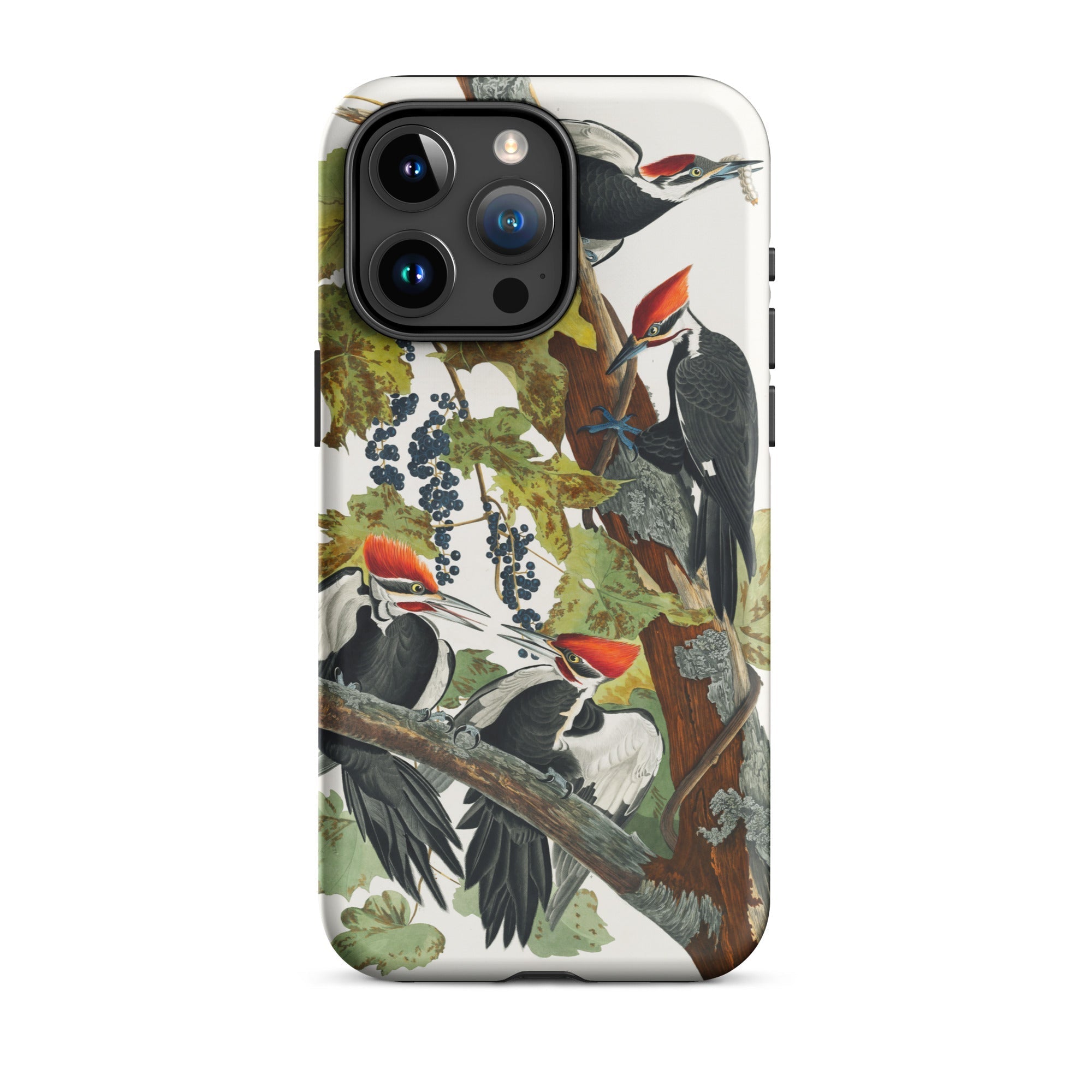 Pileated Woodpecker John James Audubon Iphone Case, 15 Pro Max / Matte, Phone Case Woodpecker Illustration