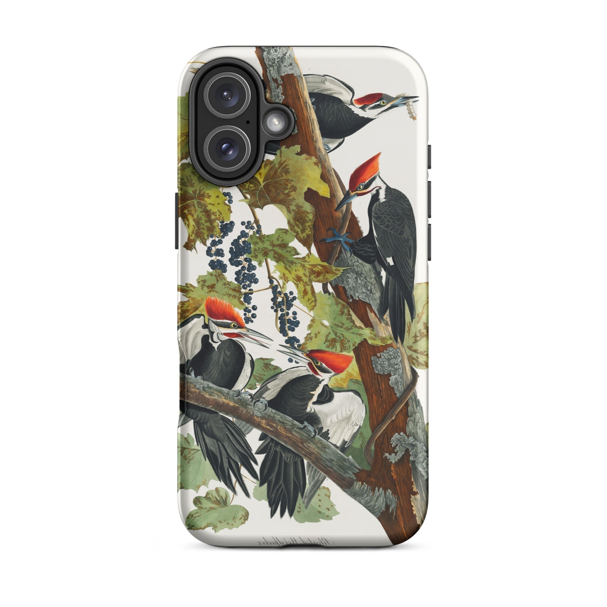 Pileated Woodpecker John James Audubon Iphone Case, 16 Plus / Matte, Woodpecker Themed Phone Case