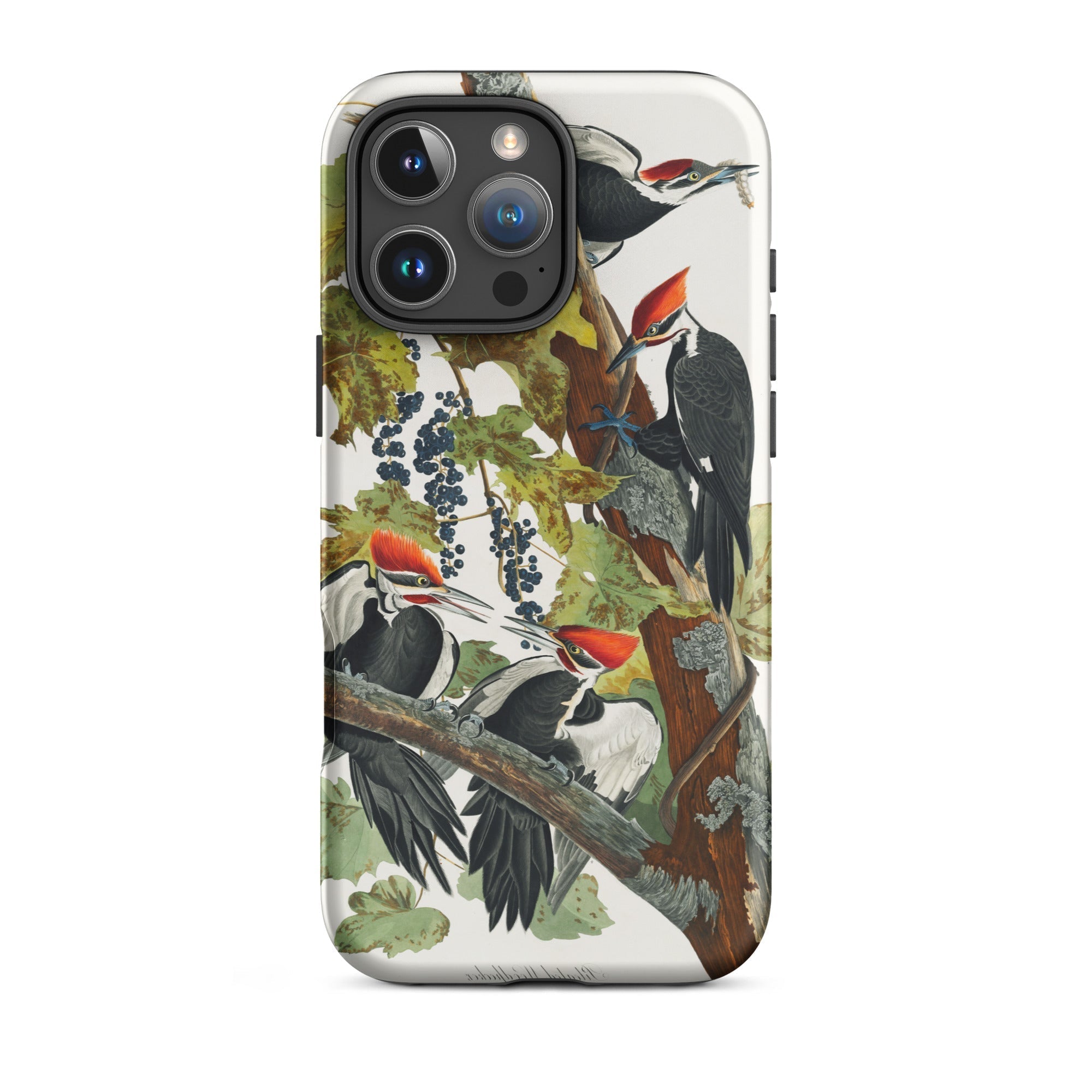 Pileated Woodpecker John James Audubon Iphone Case, 16 Pro Max / Matte, Woodpecker Themed Phone Case