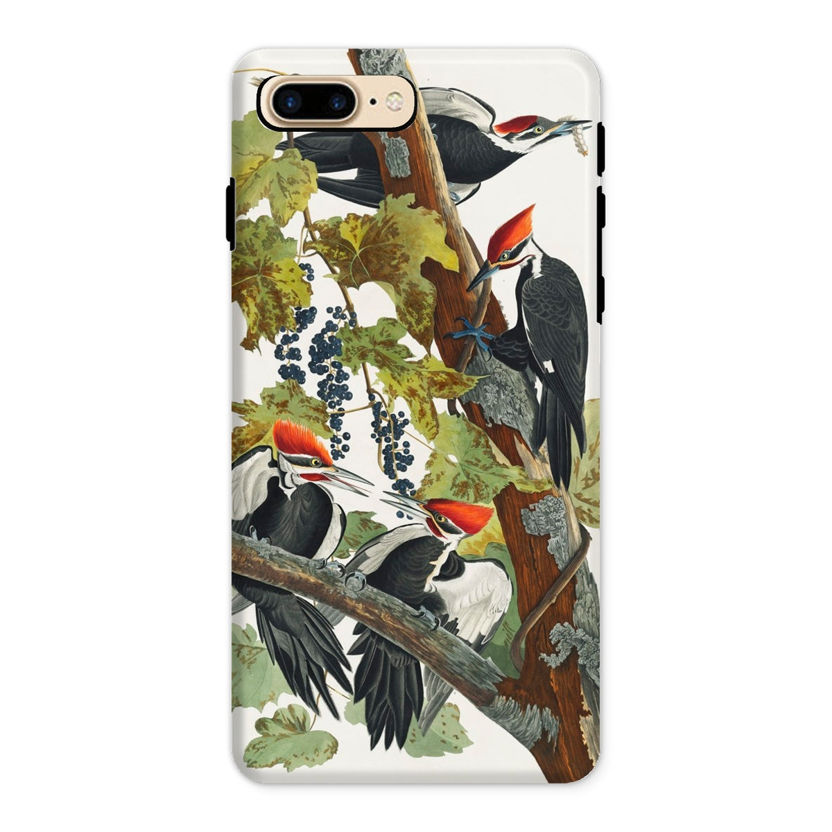 Pileated Woodpecker John James Audubon Iphone Case, 8 Plus / Matte, Phone Case Woodpecker Design