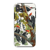 Pileated Woodpecker - John James Audubon Iphone Case, Xs / Matte, Pileated Woodpecker Phone Case