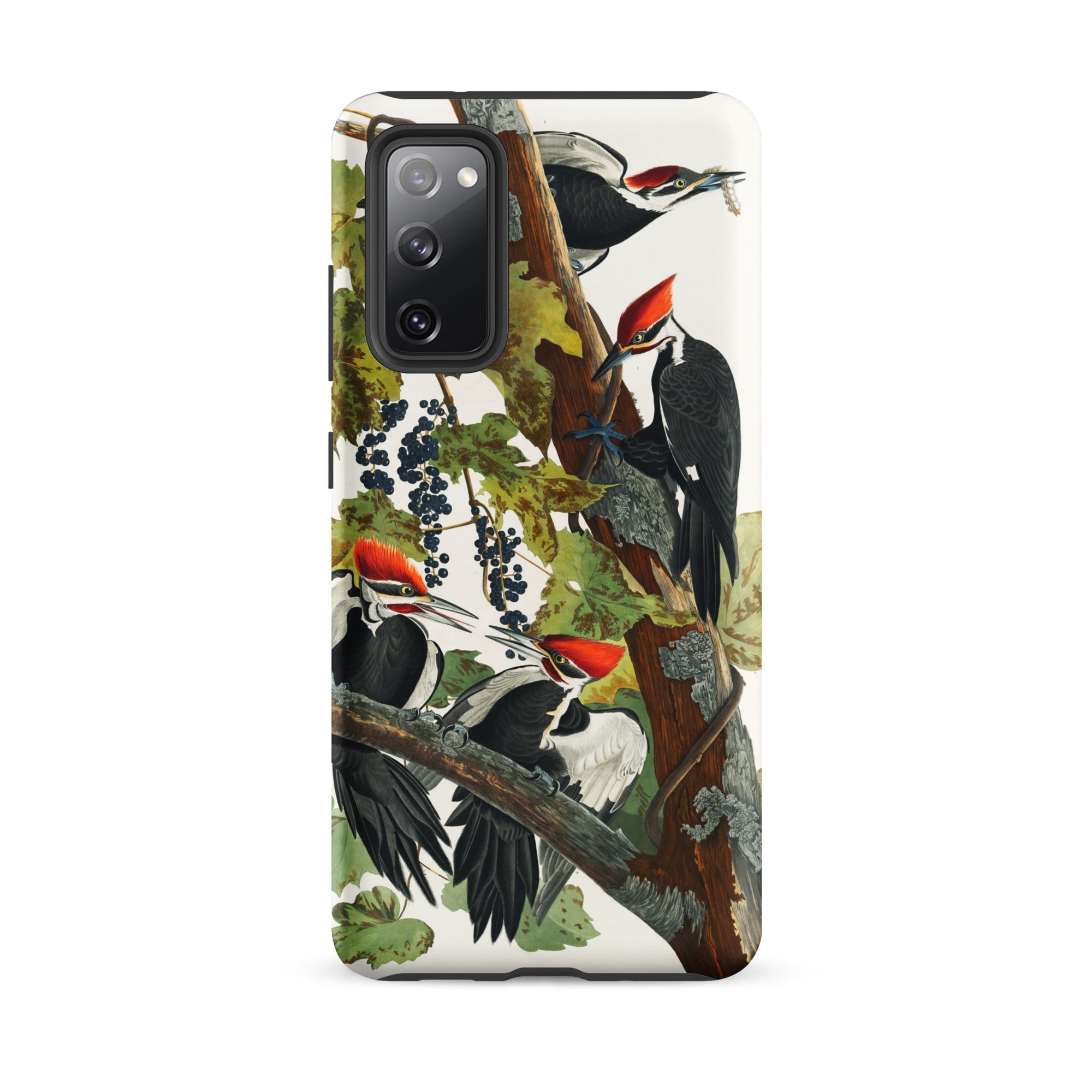 Pileated Woodpecker John James Audubon Samsung Case, Galaxy S20 Fe / Matte, Phone Case Illustration Pileated Woodpeckers Branch Grapes