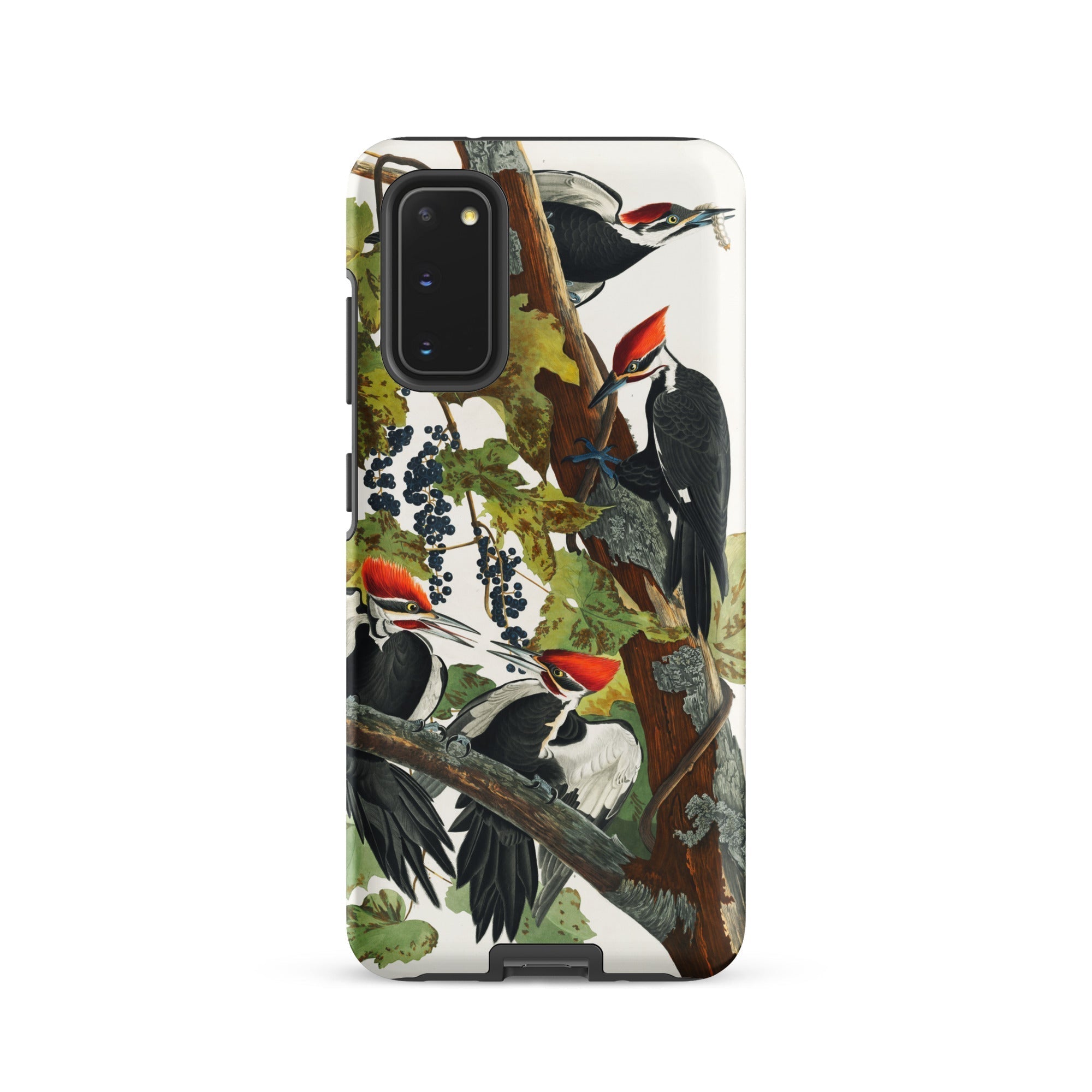 Pileated Woodpecker John James Audubon Samsung Case, Galaxy S20 / Matte, Phone Case Detailed Illustration Multiple Pileated Woodpeckers