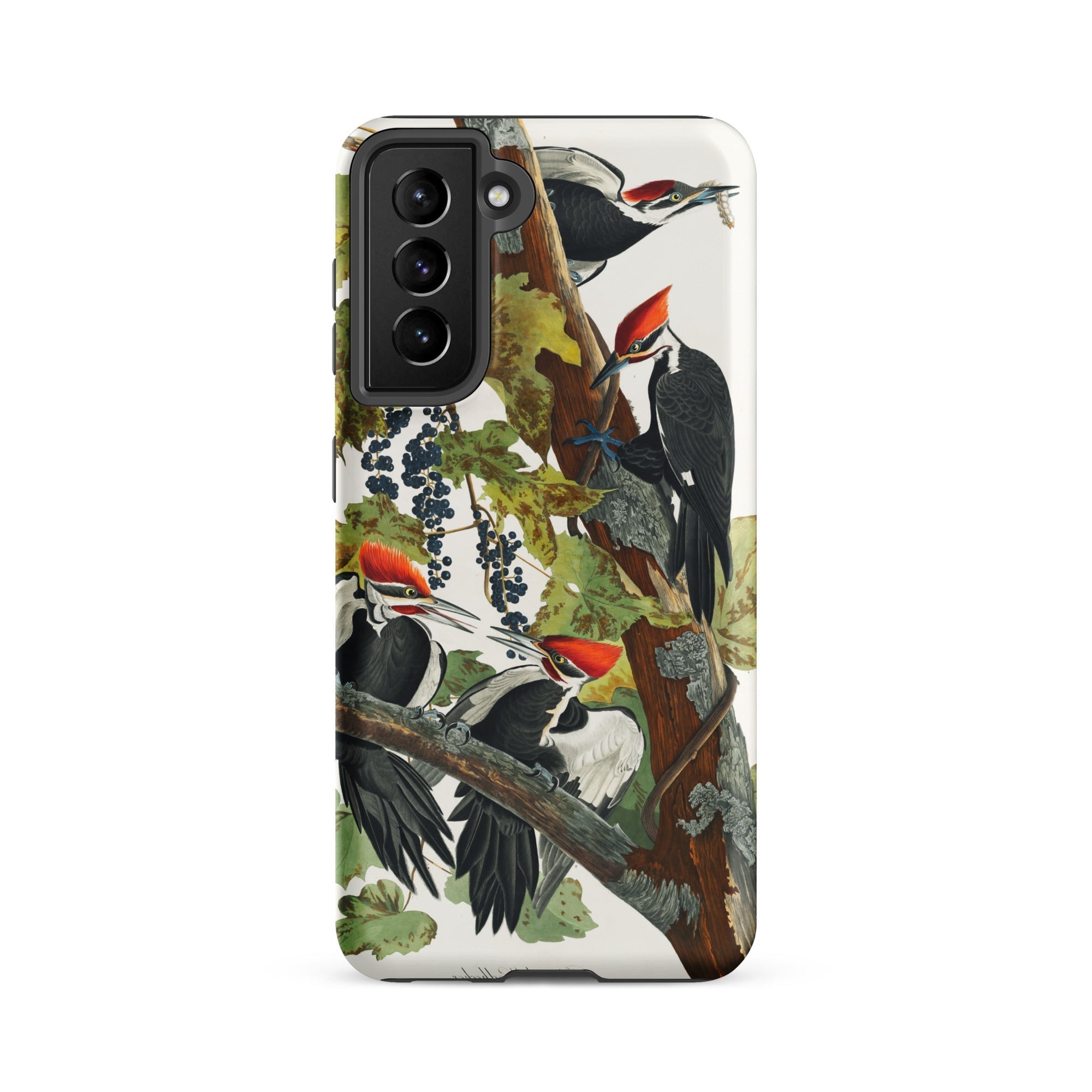 Pileated Woodpecker John James Audubon Samsung Case, Galaxy S21 Fe / Matte, White Phone Case Vibrant Illustration Woodpeckers Tree Branch