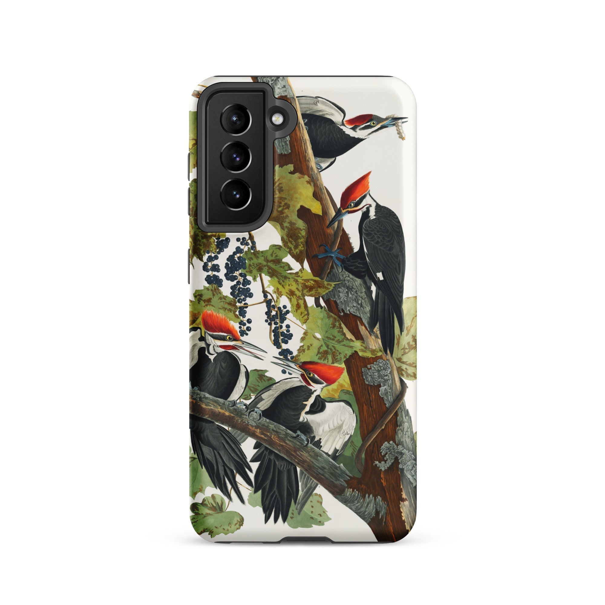Pileated Woodpecker John James Audubon Samsung Case, Galaxy S21 / Matte, White Smartphone Case Detailed Illustration Multiple Woodpeckers