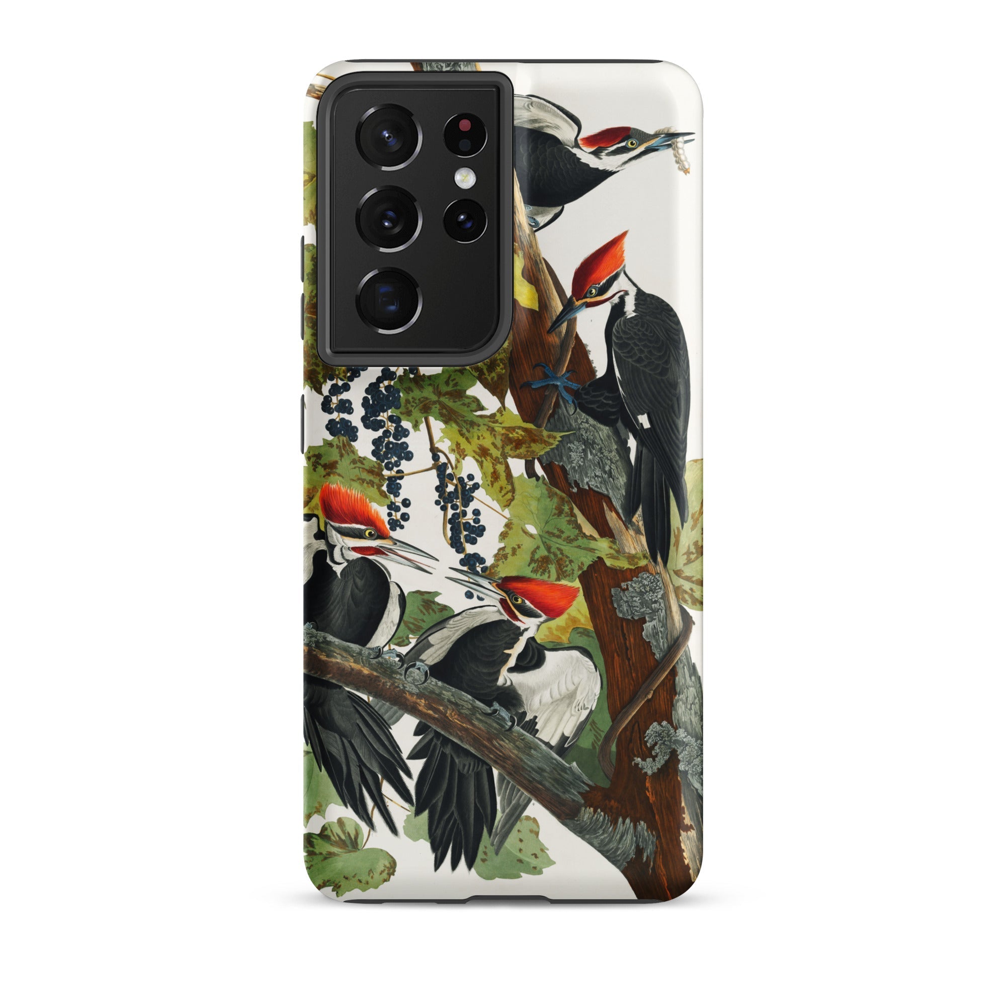 Pileated Woodpecker John James Audubon Samsung Case, Galaxy S21 Ultra / Matte, Smartphone Case Illustration Pileated Woodpeckers Among