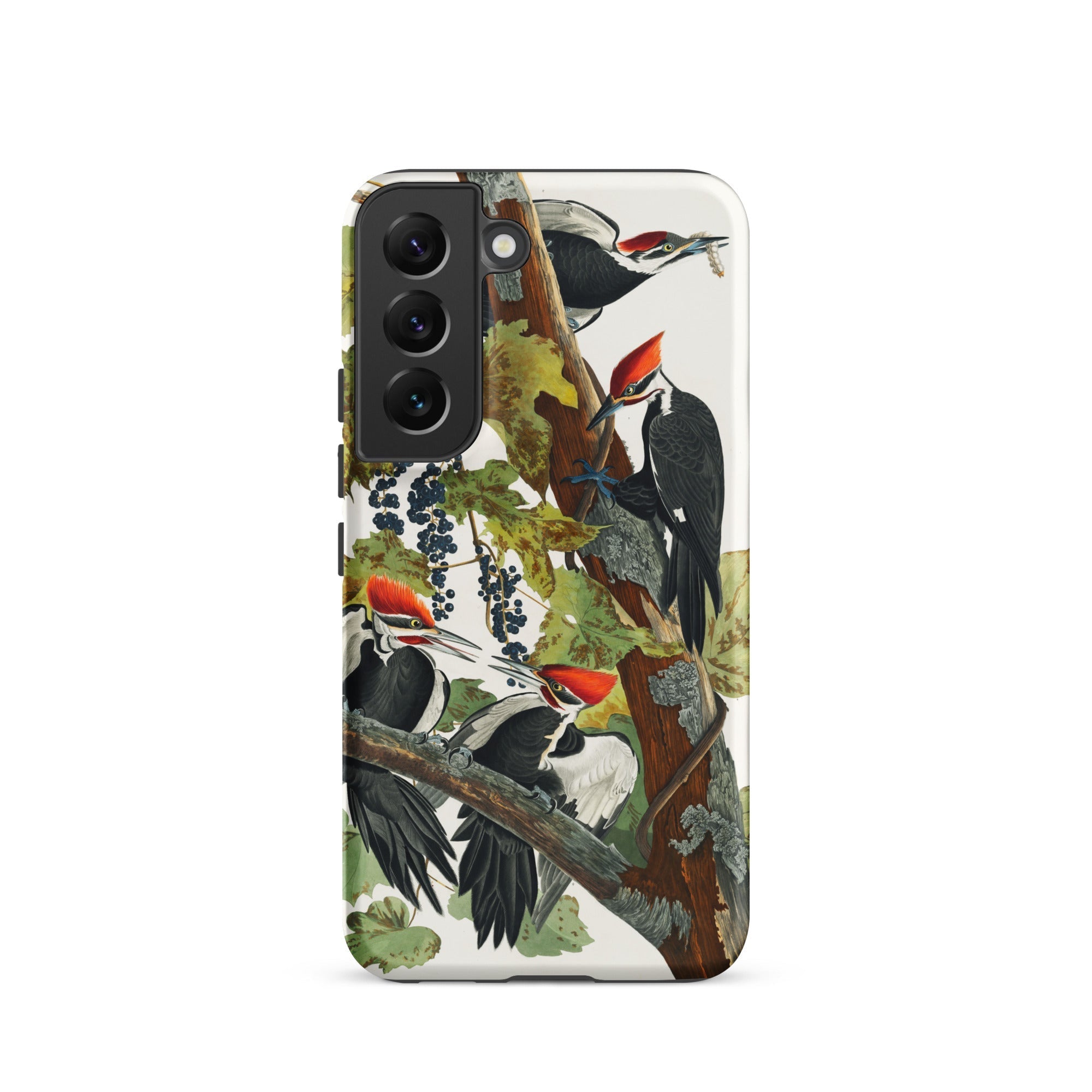 Pileated Woodpecker John James Audubon Samsung Case, Galaxy S22 / Matte, Phone Case Illustration Woodpeckers Tree Branch Berries