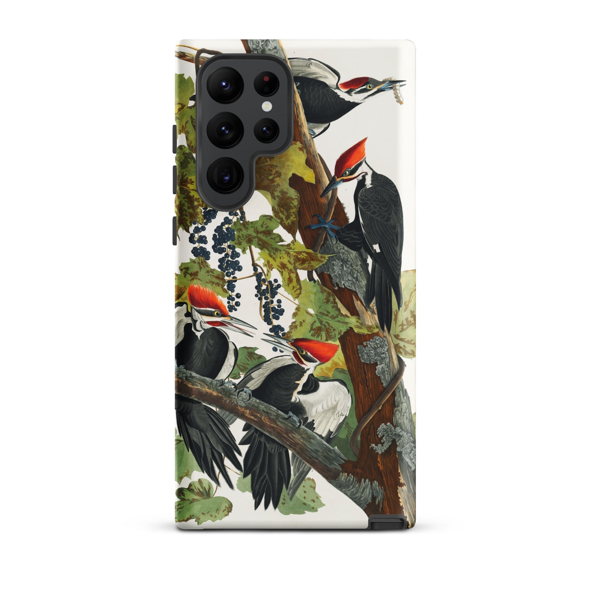 Pileated Woodpecker John James Audubon Samsung Case, Galaxy S22 Ultra / Matte, Phone Case Illustration Black White Woodpeckers Red Crests